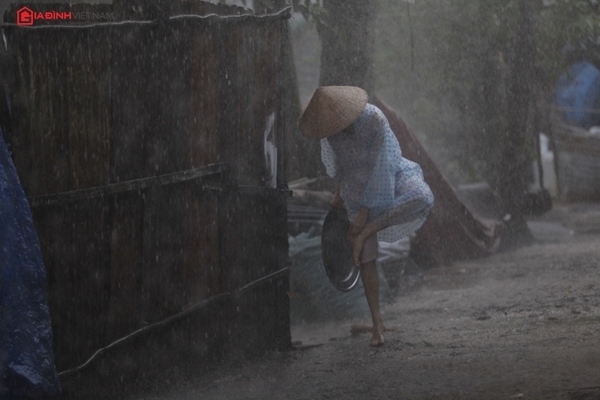 nsut-cong-ninh-ngoc-trinh-khong-so-kho-khong-so-kho-giadinhonline.vn 6