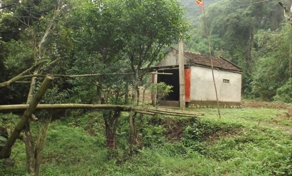 giai-ma-giai-thoai-o-ngoi-den-vua-hum-cong-nguoi-chua-benh-giadinhonline.vn 1