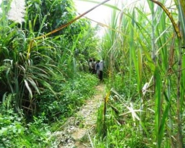 thua-bac-nguoi-dan-ong-48-tuỏi-truy-sat-ban-gai-cuop-tai-san-giadinhonline.vn 1