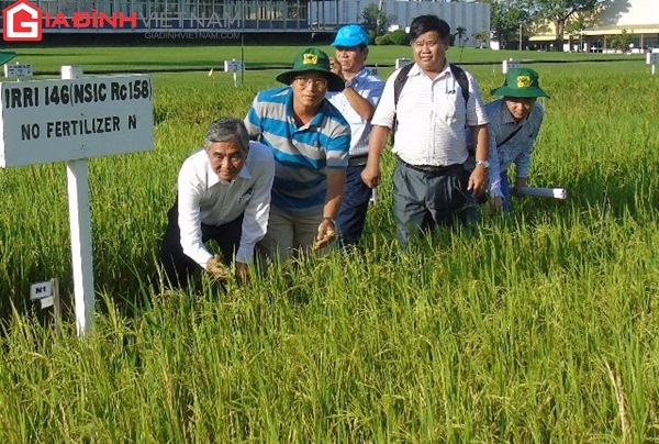 binh-dien-dua-nong-dan-hoc-tap-tai-vien-nghien-cuu-lua-quoc-te-irri-giadinhonline.vn 5