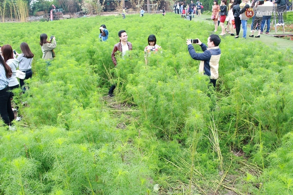 dong-cua-thung-lung-hoa-ho-tay-sau-2-ngay-mien-phi-vi-bi-quotpha-tan-hoangquot-giadinhonline.vn 4