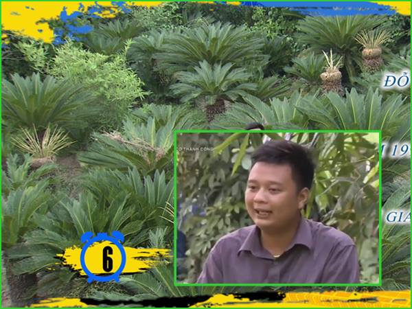 chang-thanh-nien-20-tuoi-thanh-trieu-phu-nho-trong-cay-canh-giadinhonline.vn 1