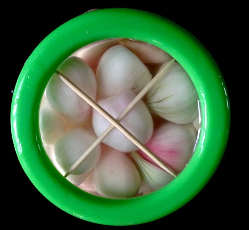 tuyet-chieu-muoi-dua-hanh-gion-ngon-don-tet-giadinhonline.vn 2