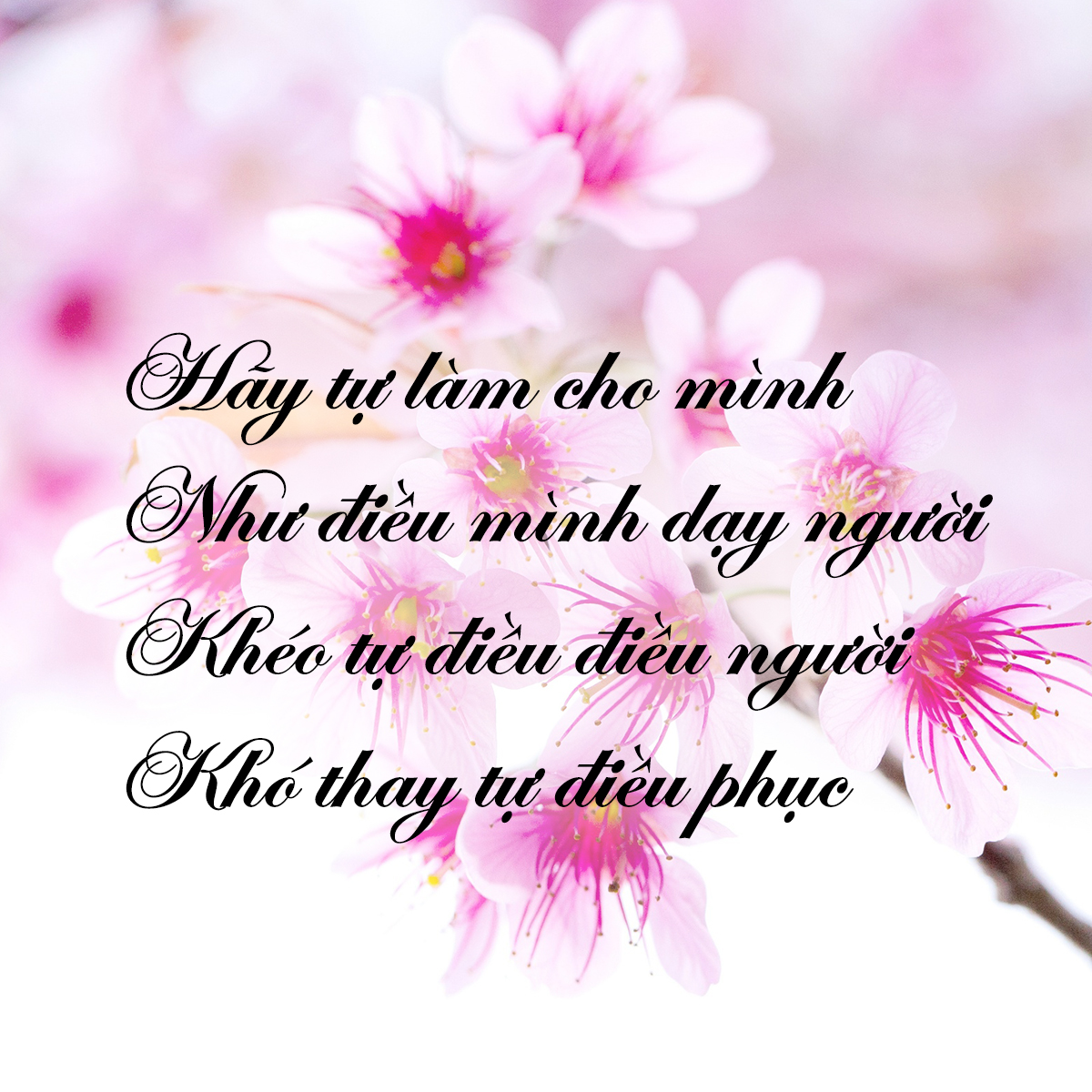 nhung-loi-duc-phat-day-ve-cuoc-song-de-giup-ban-hoan-thien-hon-giadinhonline.vn 1
