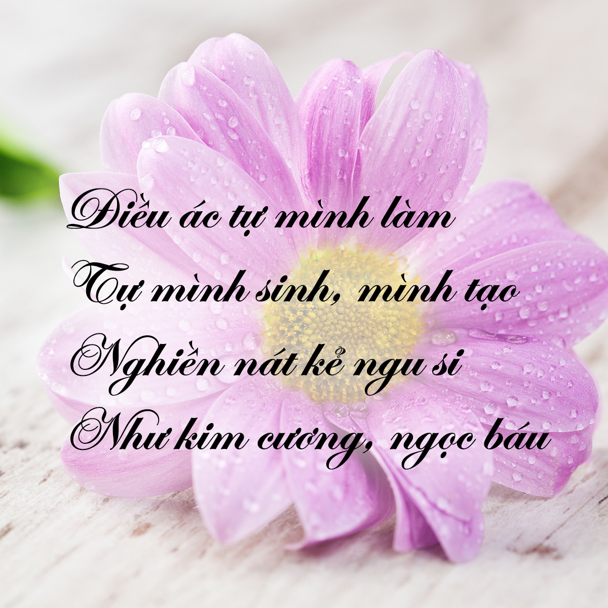nhung-loi-duc-phat-day-ve-cuoc-song-de-giup-ban-hoan-thien-hon-giadinhonline.vn 2