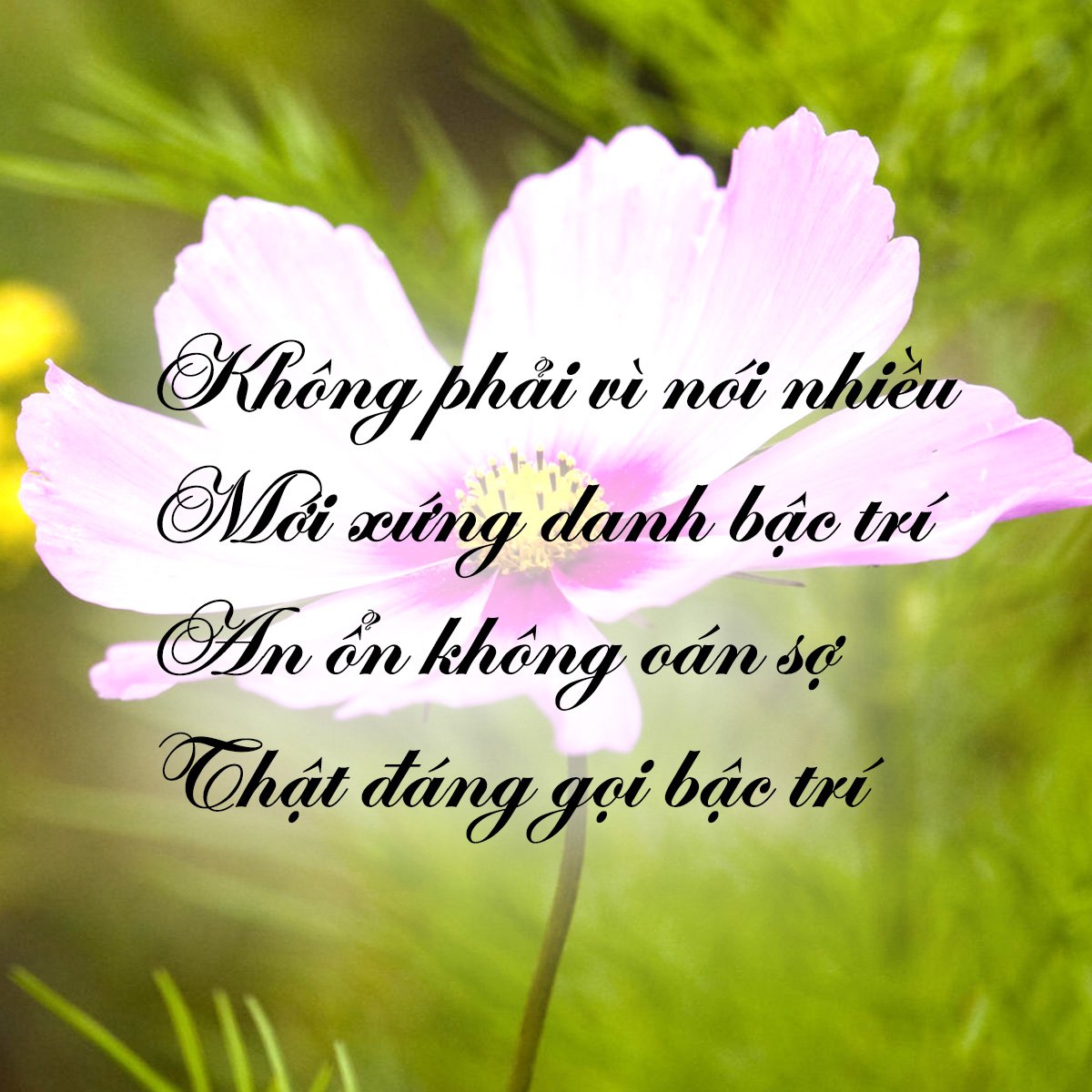 nhung-loi-duc-phat-day-ve-cuoc-song-de-giup-ban-hoan-thien-hon-giadinhonline.vn 5