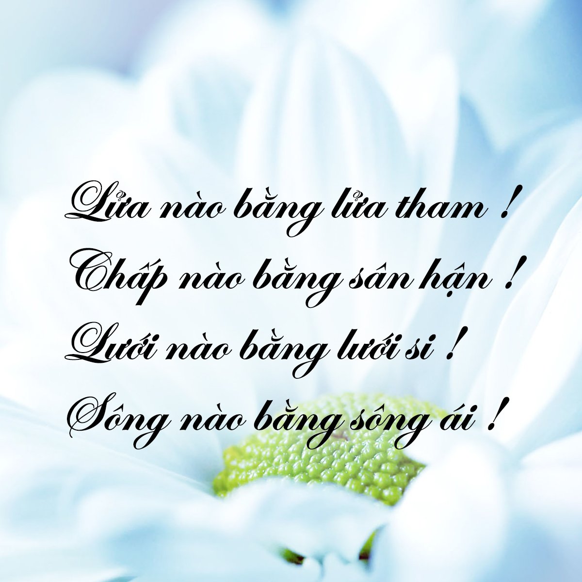 nhung-loi-duc-phat-day-ve-cuoc-song-de-giup-ban-hoan-thien-hon-giadinhonline.vn 6