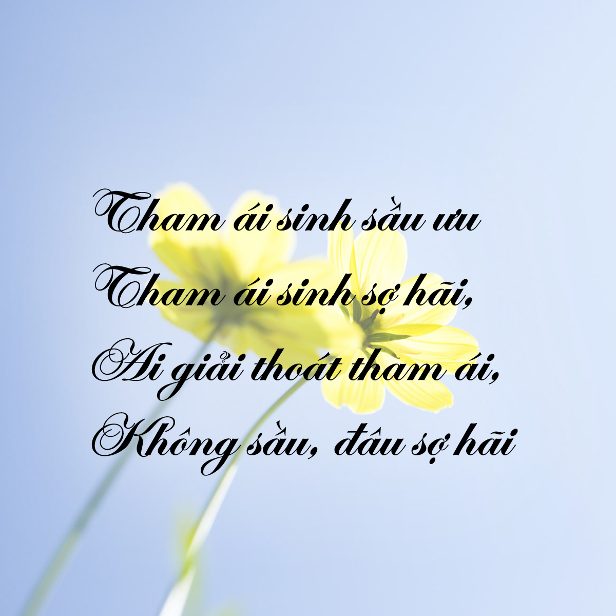 nhung-loi-duc-phat-day-ve-cuoc-song-de-giup-ban-hoan-thien-hon-giadinhonline.vn 7