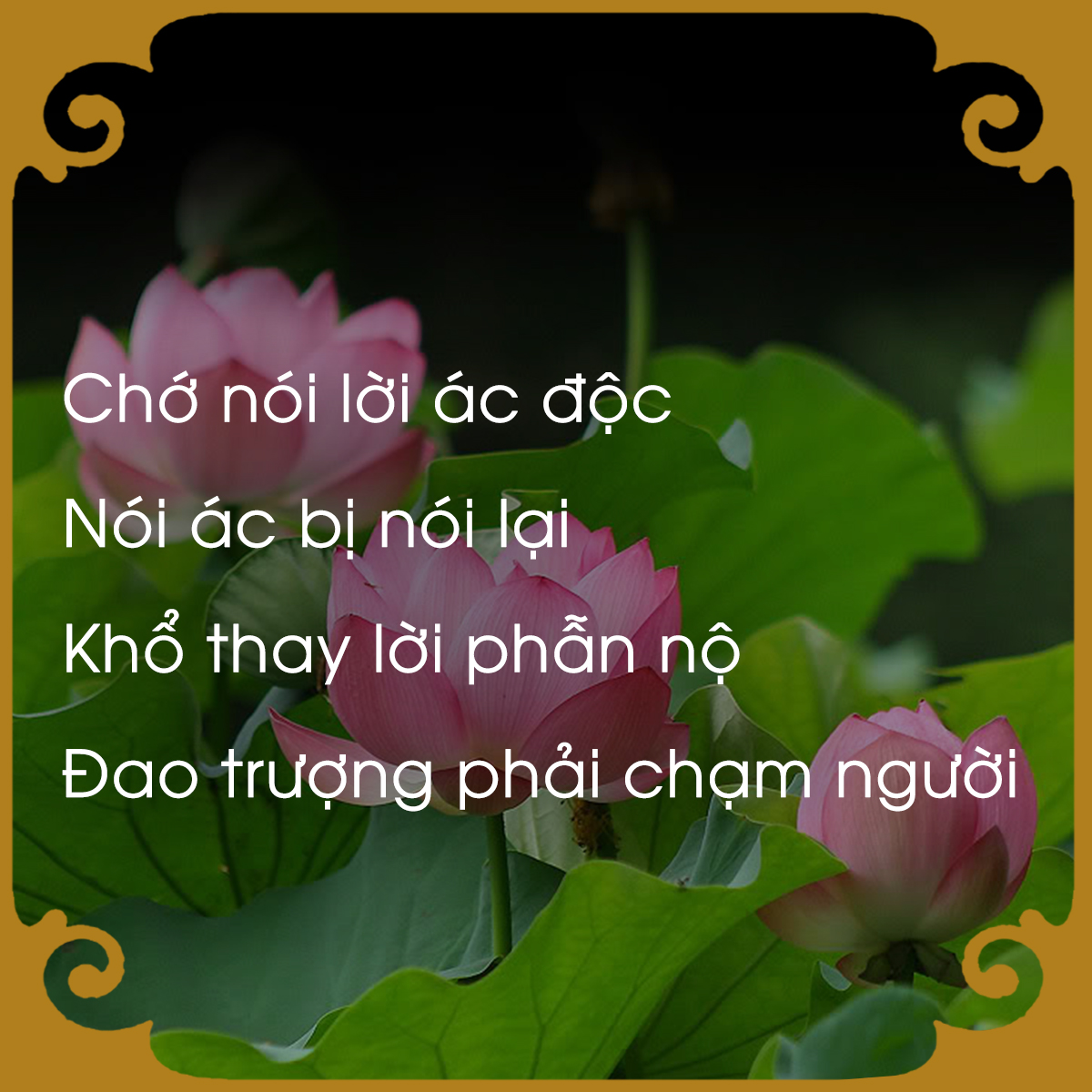 chiem-nghiem-luat-nhan-qua-qua-loi-phat-day-giadinhonline.vn 1