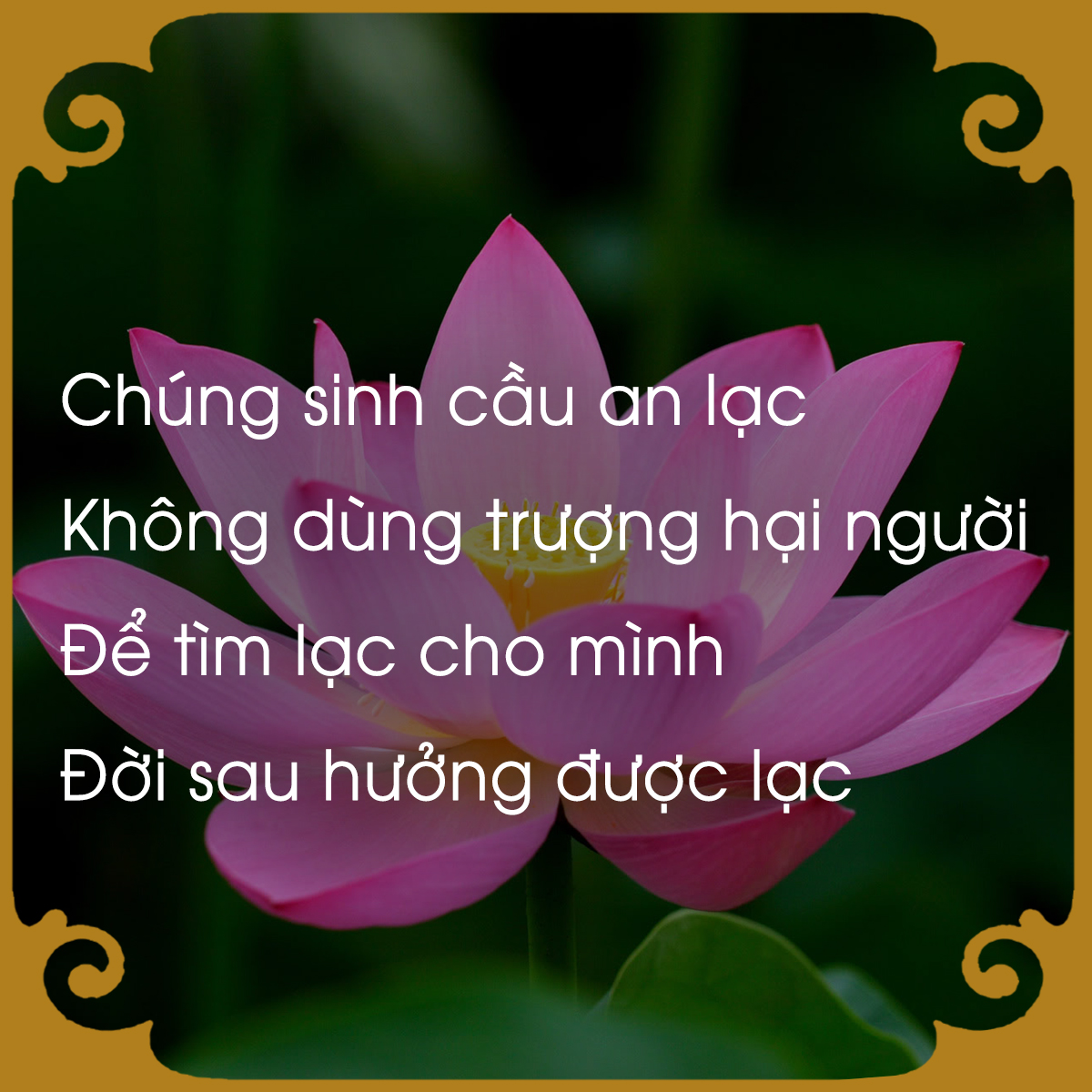 chiem-nghiem-luat-nhan-qua-qua-loi-phat-day-giadinhonline.vn 2
