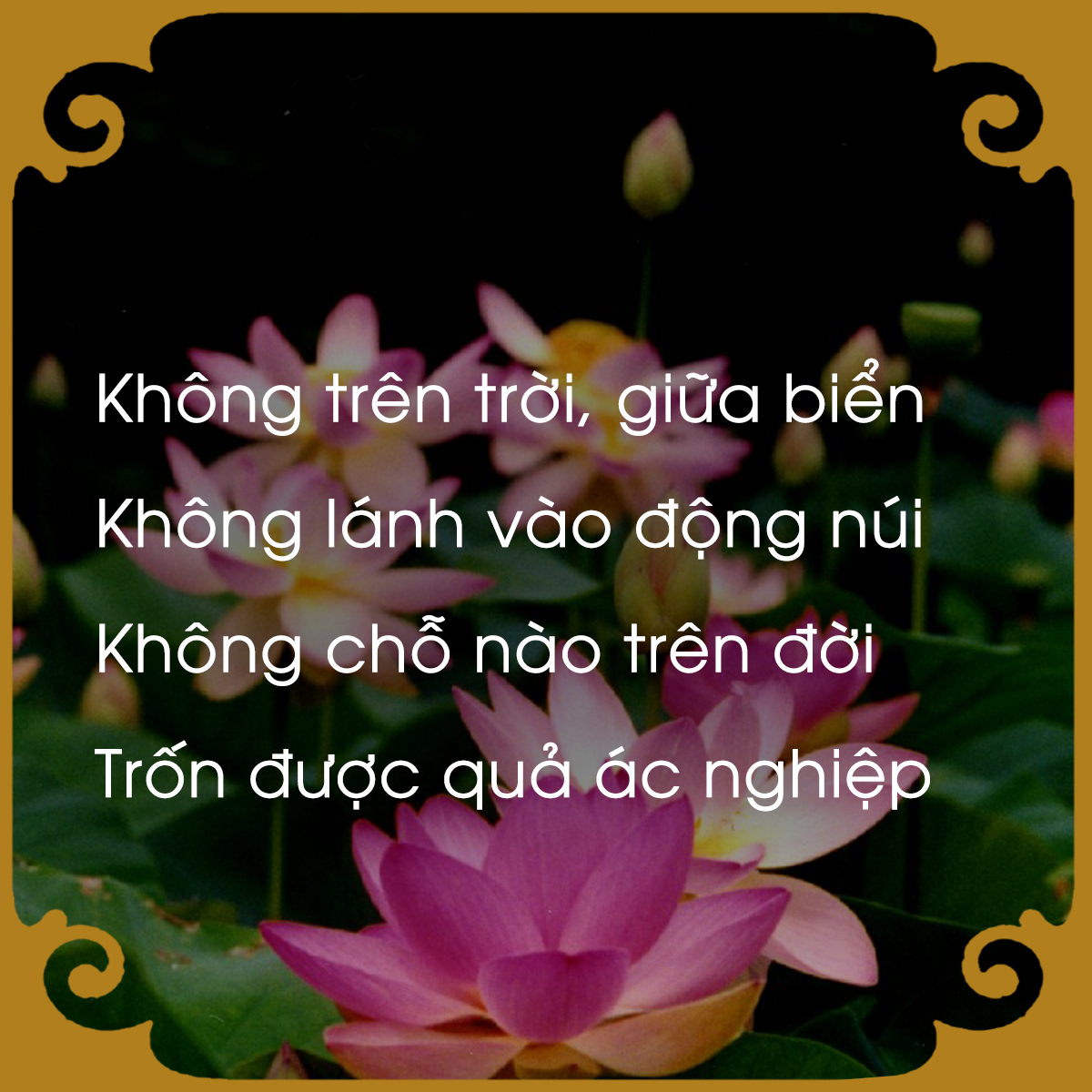 chiem-nghiem-luat-nhan-qua-qua-loi-phat-day-giadinhonline.vn 3