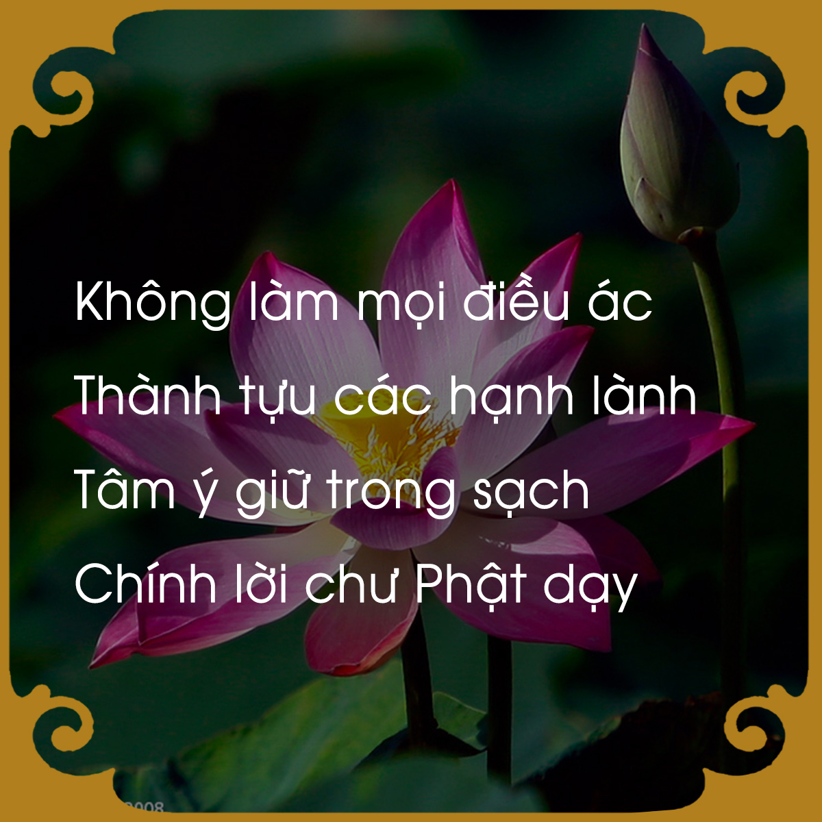 chiem-nghiem-luat-nhan-qua-qua-loi-phat-day-giadinhonline.vn 5