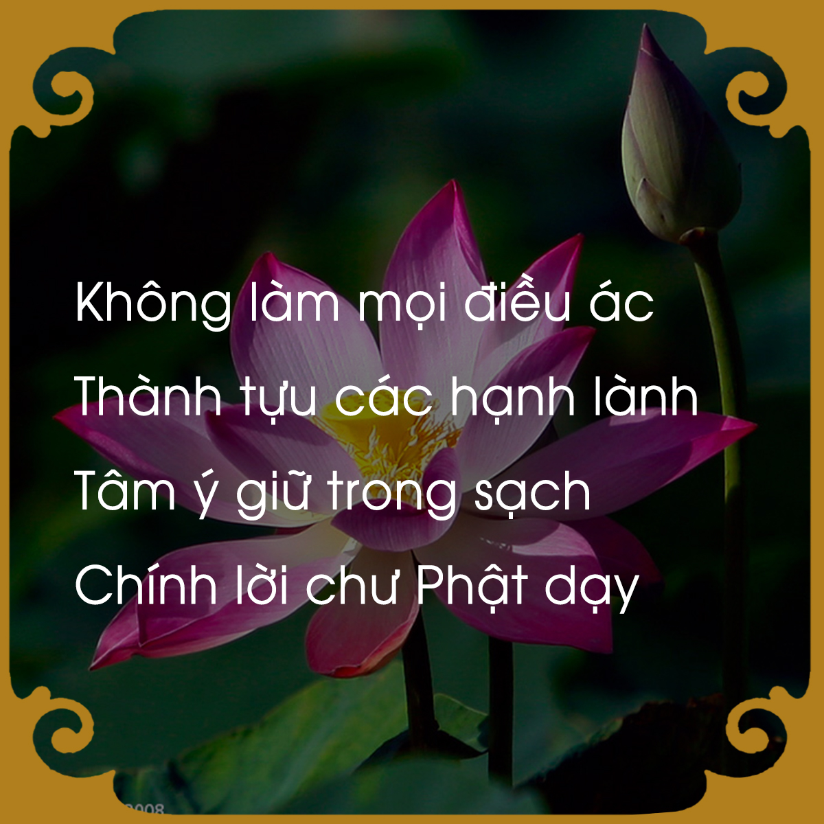 chiem-nghiem-luat-nhan-qua-qua-loi-phat-day-giadinhonline.vn 5
