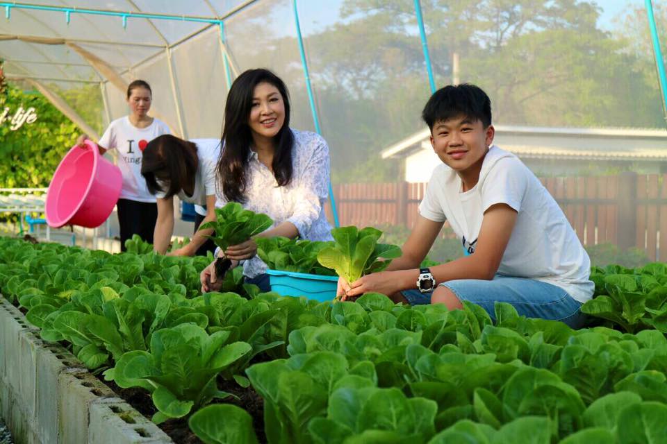 vuon-rau-sach-cua-cuu-thu-tuong-thai-lan-giadinhonline.vn 10