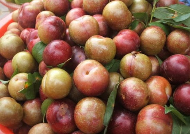 cach-lam-man-dam-chua-ngọt-ngon-va-bat-mat-giadinhonline.vn 1