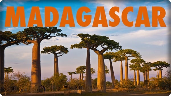 mot-chuyen-phieu-luu-toi-quoc-dao-madagascar-tai-sao-khong-giadinhonline.vn 1