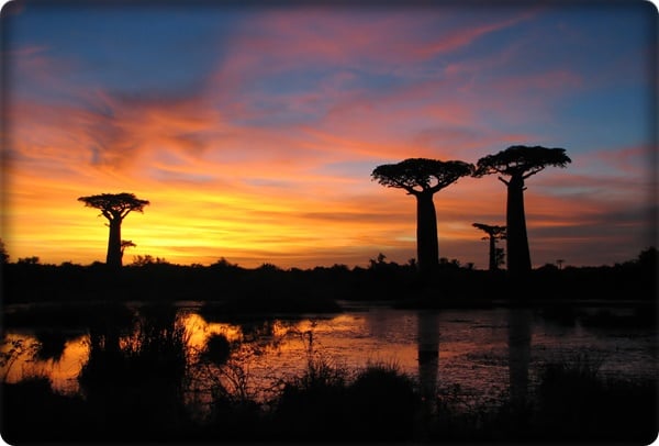 mot-chuyen-phieu-luu-toi-quoc-dao-madagascar-tai-sao-khong-giadinhonline.vn 14