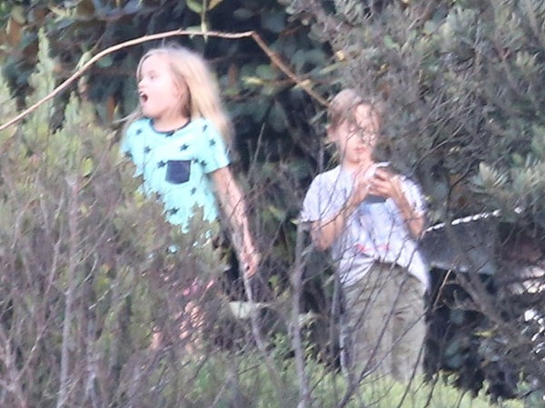 brad-pitt-ngoai-tinh-ngay-tren-giuong-cua-angelina-jolie-giadinhonline.vn 4