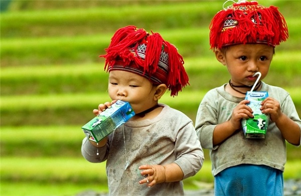 vinamilk-tam-huyet-voi-quy-sua-vuon-cao-viet-nam-giadinhonline.vn 2