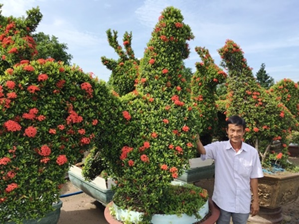 bonsai-tuong-ga-choi-tet-dinh-dau-dat-tien-nhung-duoc-nhieu-nguoi-san-lung-giadinhonline.vn 5