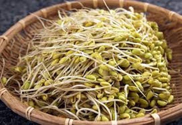 sau-sinh-an-gia-do-duoc-khong--giadinhonline.vn 1