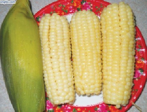 10-thuc-pham-an-dem-ma-khong-lo-tang-can-giadinhonline.vn 2