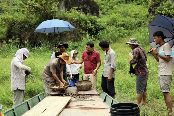 dao-dien-cha-cong-con-buc-xuc-tra-lai-bang-khen-cho-canh-dieu-2016-giadinhonline.vn 3