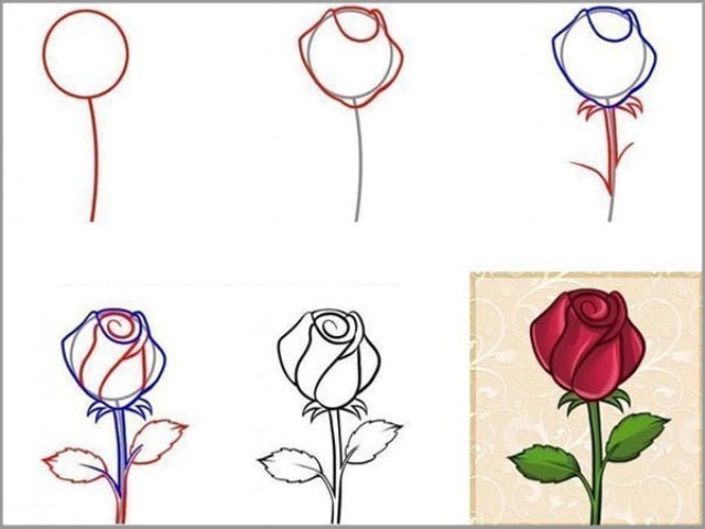 Một trong những cách vẽ hoa hồng nhanh nhất là sử dụng bút chì. Hình ảnh này sẽ giúp bạn tìm hiểu các bước đơn giản để đạt được kết quả nhanh nhất. Hãy cùng xem để khám phá bí quyết vẽ hoa hồng đẹp trong thời gian ngắn nhất.