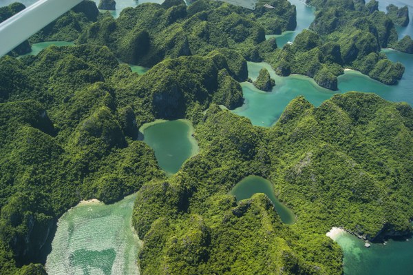 2-dao-dien-phim-kong-va-gozilla-tham-vinh-ha-long-bang-thuy-phi-co-giadinhonline.vn 5