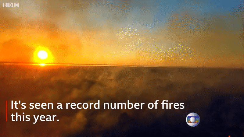 Loạt ảnh gây sốc về cháy rừng Amazon: Ngày thứ 16 chìm trong lửa