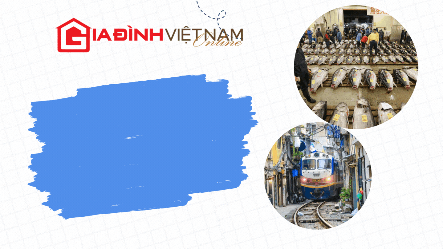 5 điểm đến nổi tiếng thế giới bị xóa sổ, Việt Nam được gọi tên