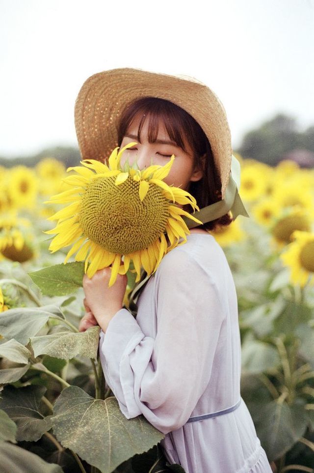 Hãy mở rộng tầm mắt và ngắm nhìn những bông hoa đầy màu sắc, những chiếc lá xanh tươi, những cọng cỏ xanh mơn mởn trong ảnh. Chúng sẽ đưa bạn đến với cảm giác thanh thản, tĩnh lặng và đầy sức sống trong thiên nhiên.