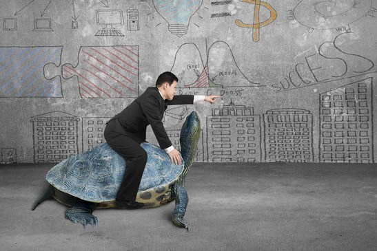 photodune-11290675-businessman-riding-turtle-and-indicating-with-finger-in-concrete-room-xs_5bd9784739fd784309b05f3952f11eda