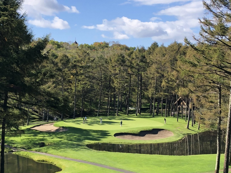 Rừng thông tạo nên sức hấp dẫn đặc biệt của sân golf Nisupa, Hokkaido