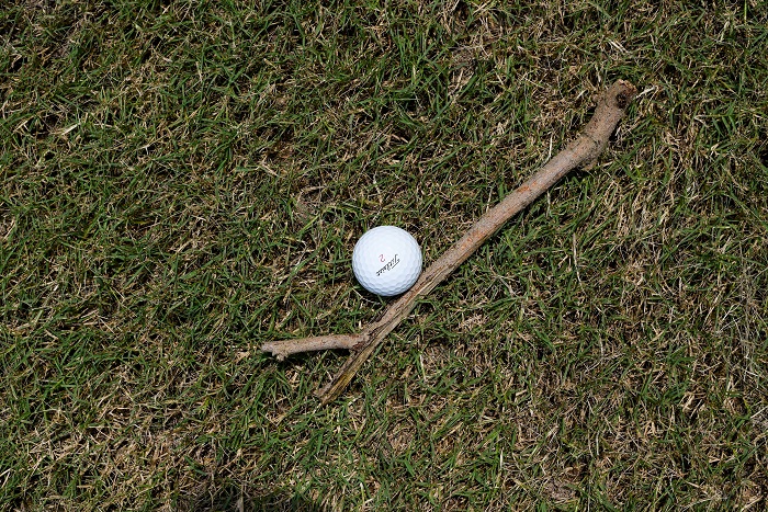 Vật cản tự nhiên gây cản trở trong quá trình thực hiện cú đánh bóng đến hố của golfer