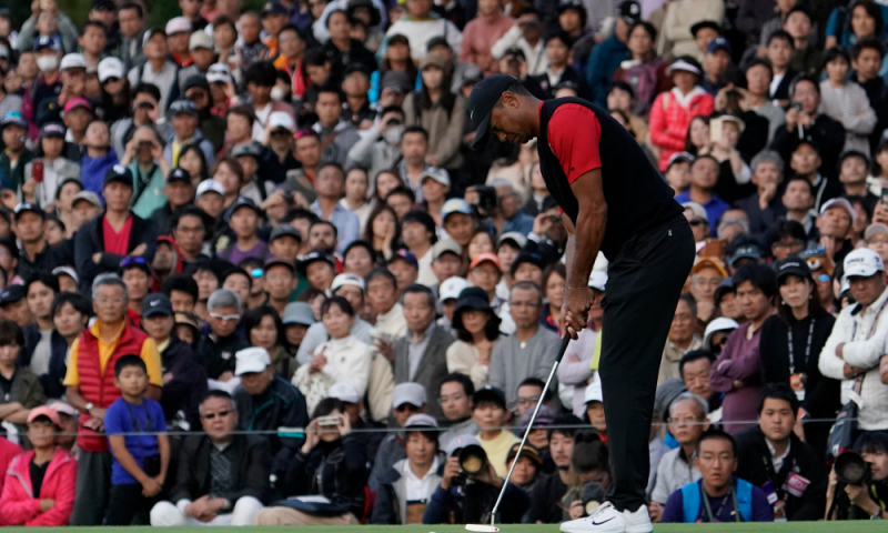 Người hâm mộ phủ kín sân Accordia Golf Narashino Country để theo dõi Siêu Hổ thi đấ tại ZOZO Championship