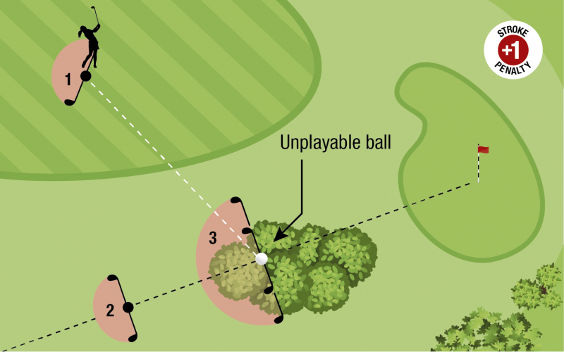 Các lựa chọn giải thoát cho bóng không đánh được trong khu vực chung (Ảnh: USGA)