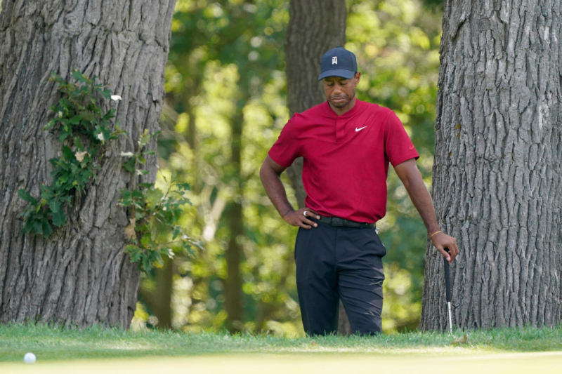Tiger Woods đứng đợi trên green thứ 11