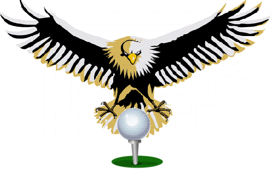Eagle-trong-golf-la-gi-lich-su-thuat-ngu-tinh-diem-Dai-bang-hai-gay-duoi-Par(2)