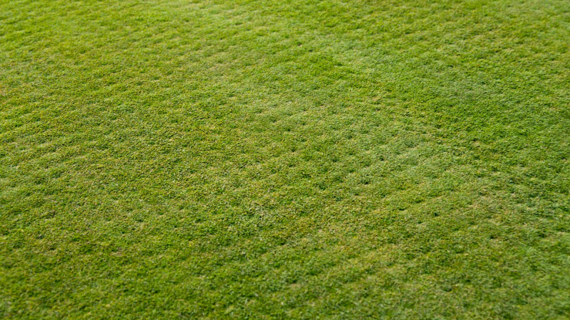 Cỏ golf hô hấp qua hệ rễ, hoạt động đục, sục khí giúp tăng khả năng hô hấp và giải phóng CO2 trong không khí. Kết quả là cỏ trở nên khỏe hơn về lâu dài sẽ giúp chống chịu lại áp lực tốt hơn.