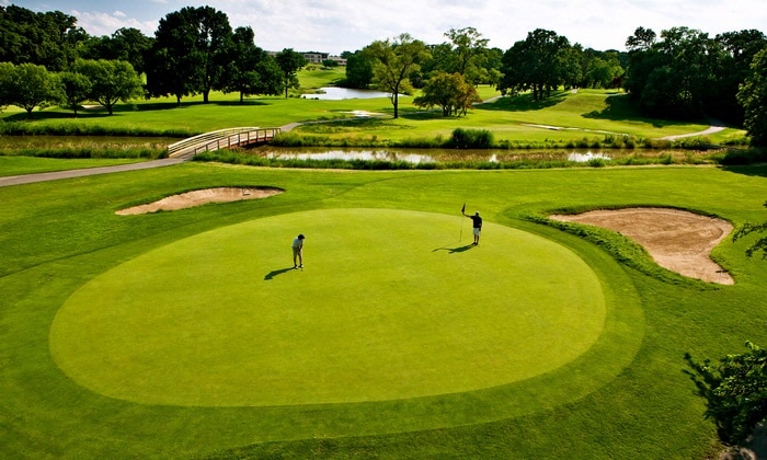 Đa số sân golf ở Việt Nam sử dụng loại cỏ Bermuda (Cynodon dactylon) để làm cỏ green