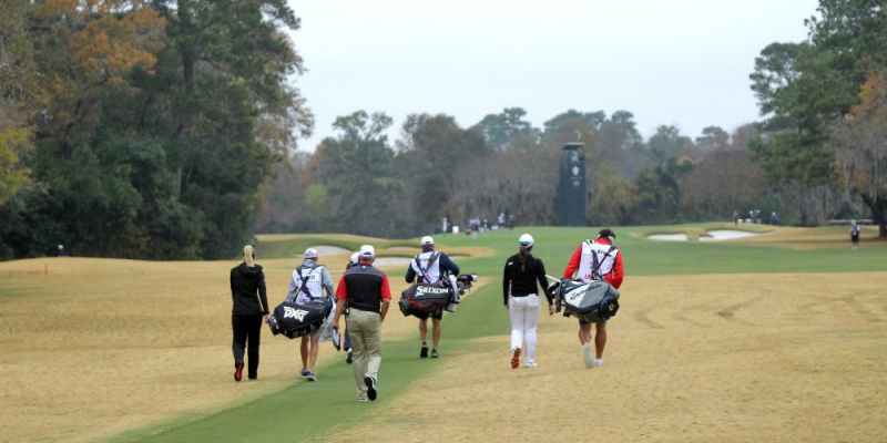 Một nhóm golfer đi bộ xuống fairway sau khi phát bóng ra khỏi teebox thứ 11