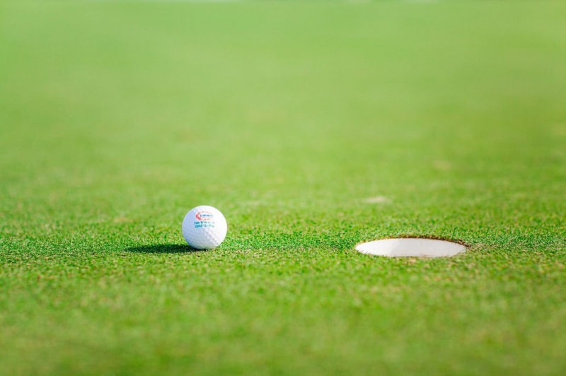 Việc chăm sóc cỏ trên các sân golf đòi hỏi sự bảo trì, bảo dưỡng, chăm sóc kỹ