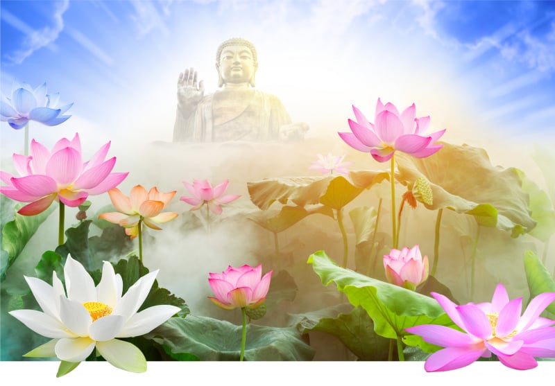 Thơ hoa sen đạo Phật: Những câu thơ tuyệt vời này nói về hoa sen trong tôn giáo Phật giáo, mang đến cho chúng ta một cái nhìn khác về loài hoa này. Với sự tỏa sáng của tâm linh, chúng ta cảm nhận được sự tao nhã của hoa sen và sự thanh tịnh của đạo Phật. Hãy cùng đến với hình ảnh hoa sen đạo Phật để trở nên tĩnh tâm và sáng suốt hơn.