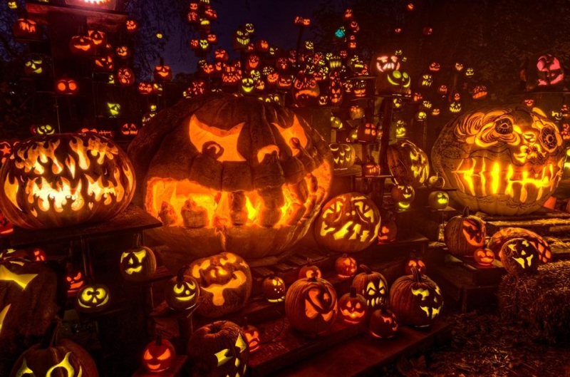 Đèn bí ngô và Jack là biểu tượng của lễ halloween