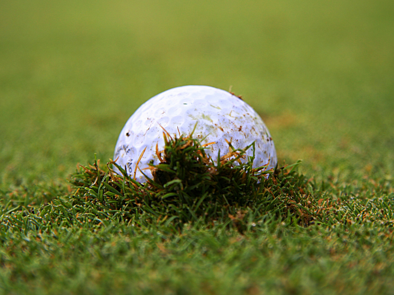 Luật 16.3 cho phép golfer được giải thoát bóng lún ở trong khu vực chung của sân