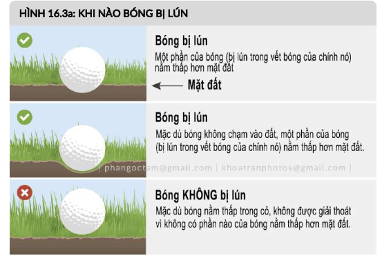 Golfer cần xác định bóng có bị lún không trước khi thực hiện giải thoát