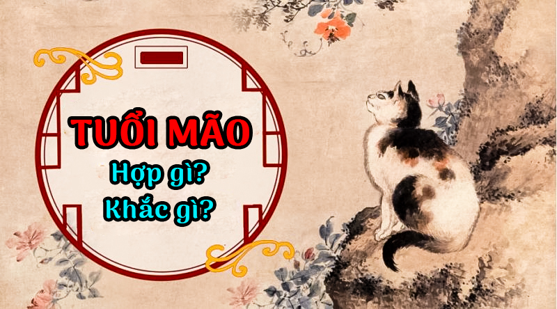 tuoi-mao-hop-gi-golfviet