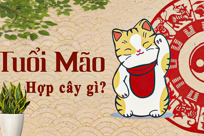 tuoi-mao-hop-gi-golfviet-3