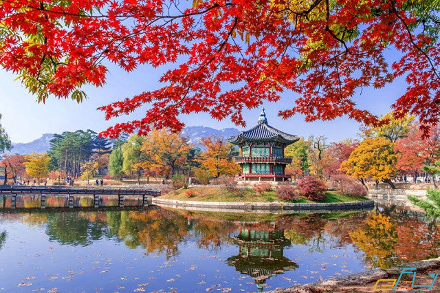 Gangwon là thiên đường mùa thu của xứ sở kim chi.
